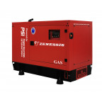 Plynový generator ZENESSIS - ESE 25 PSI 26 kW